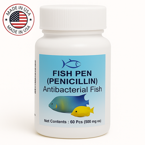 Fish penicillin 500 mg 60 Tablets Fish penicillin 500 mg 60 Tablets