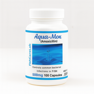 Aqua Mox Amoxillin 500mg - 100 Capsules Aqua Mox Amoxillin 500mg - 100 Capsules