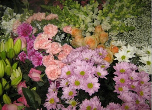 Florist Choice  (pastel)