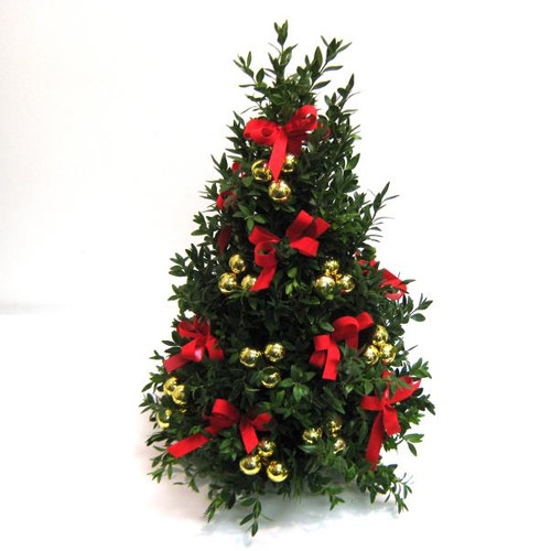 Traditions Boxwood Tree (Classic)