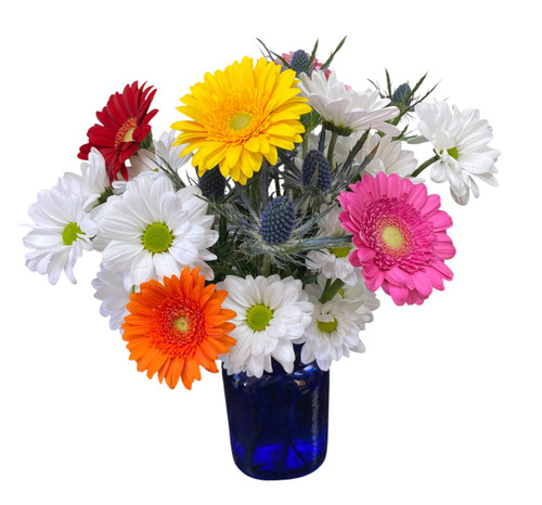 Delightful Daisies