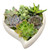 Succulent Heart Garden