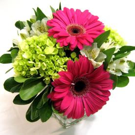 Concord Flower Shop City Wide Delivery in Concord Send Flowers Concord