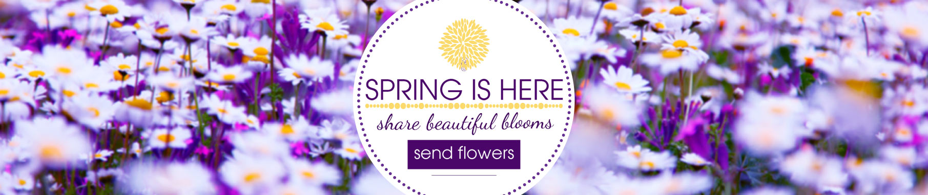Spring Flowers