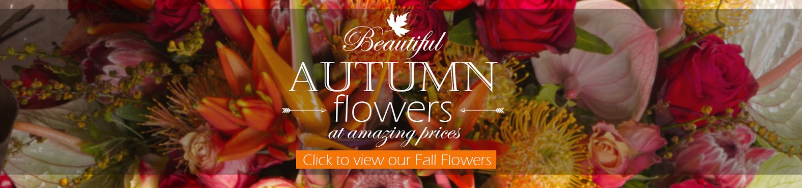 Autumn Flowers