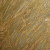 Juparana Colombo Gold 3cm /sf