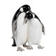 Treasured Trinkets by Stratton - Pair of Penguins Treasured Trinkets by Stratton - Pair of Penguins