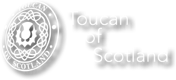 Toucan Of Scotland