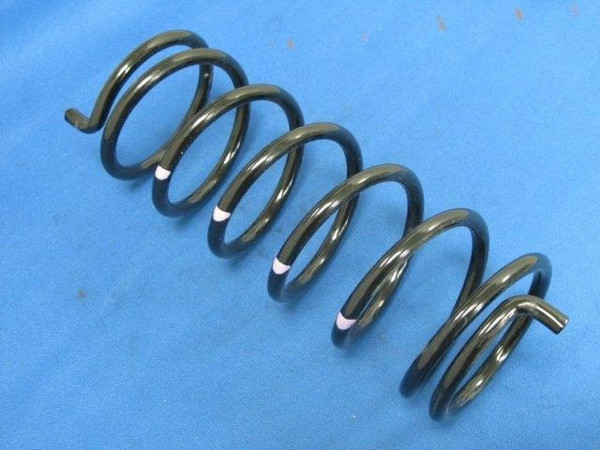 Can Am DPSS-B/V - Secondary Spring by Dalton