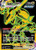 Rayquaza VMAX (Secret) (Holofoil) (#TG29/TG30)