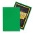 Dragon Shield Standard Matte APPLE GREEN