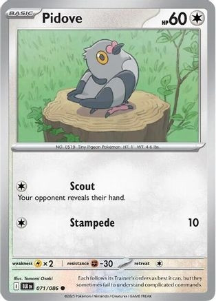 Pidove (POKE24325) (Reverse Holofoil) (#071/086)