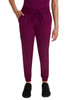 HH Works Renee Jogger Pant in Wine