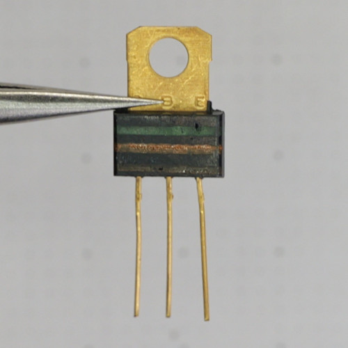 Rear view of Motorola MPSU10 transistor showing gold mounting tab and gold-plated leads.