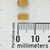 Two yellow SMD tantalum capacitors marked 106C and N29ZH, C-case body, approximately 6mm wide per ruler scale.