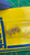Angled view of 830P5K trimmer inside sealed blister, body marked 43P502T615 and 5K