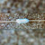 Close-up of MEPCO/Centralab RN50C resistor body showing the printed RN50C part marking.