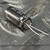 Close view of nichicon 220uF 35V sleeve printing with bright untrimmed kinked radial leads