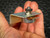 Ohmite CLU2521 Type AB potentiometer mounted under steel bracket, side view held in hand