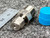 Angled view of the Swagelok SS-100-1-2 Male Connector, 1/16" Tube OD x 1/8" NPT from PartsMine.com next to a blue plastic cap and a ruler, showing the fine details of the metal fitting.