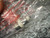 Macro of EVR lamp threaded base, white ceramic collars and tip contact through the wrap