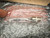 GE printed sleeve closeup, 8800-120/500 EVR quartz lamp filament and red printed operating instructions