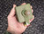Hand holding Federal 106M3507S rectifier, showcasing its compact size, unused condition.