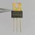 Rear view of Motorola MPSU10 transistor showing gold mounting tab and gold-plated leads.