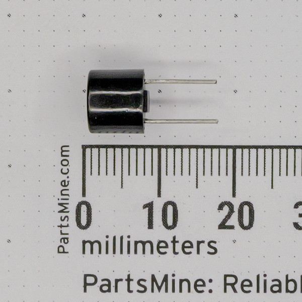 Westinghouse T2A 250V slow-blow micro fuse side view with radial leads beside millimeter scale