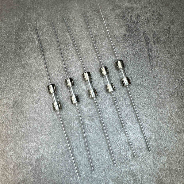 Five axial lead glass cartridge fuses 1A 250V laid out on gray backdrop