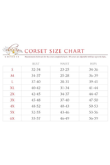 Lavish 4 PC Clear Black Dark Angel Corset Costume