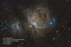 Celestron Advanced VX 6" Rowe-Ackermann Schmidt Astrograph (RASA) Telescope