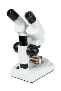 Celestron Labs S20 Angled Stereo Microscope