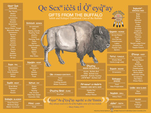 Selis-Qlispe Gold Bison Poster Selis-Qlispe Gold Bison Poster