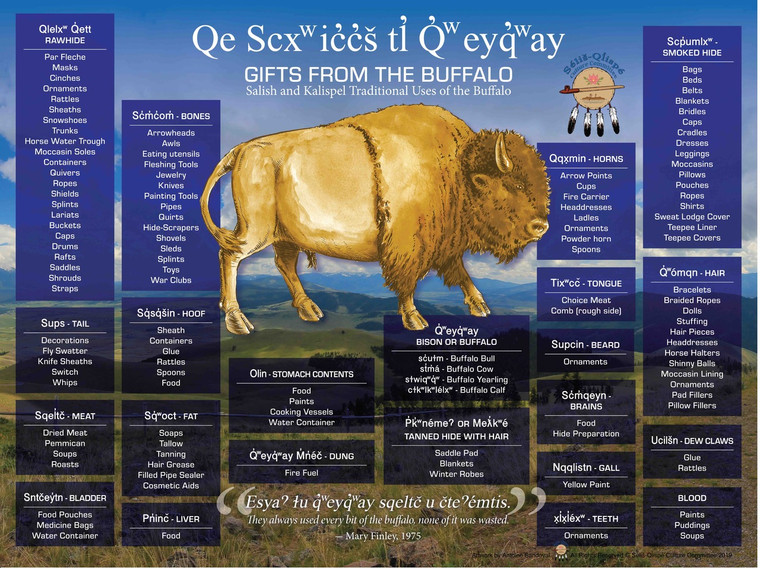 Selis-Qlispe Bison Puzzle