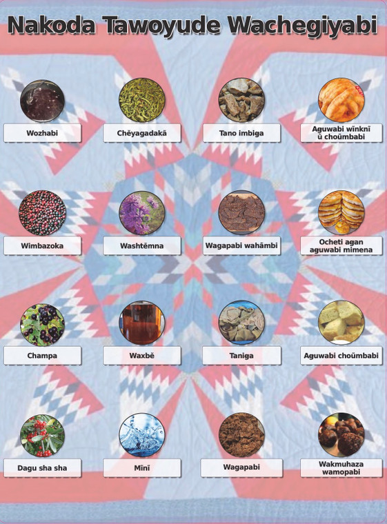 Nakoda Language Classroom Posters
