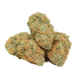 Gelato 33 AAAA Hybrid offers a smooth, euphoric high with sweet citrus and creamy berry flavours. Perfect for day or night use, this premium strain delivers balanced effects and top-shelf quality. Available now at The Purple Shop.