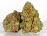 Girl Scout Cookies – Hybrid (28% THC)

Indulge in the Iconic Flavor of Girl Scout Cookies

Discover the legendary Girl Scout Cookies, a beloved hybrid renowned for its powerful effects and mouthwatering flavor profile. With an impressive 28% THC, this strain offers an intense and balanced high that’s perfect for both relaxation and inspiration.

Expect a delightful combination of sweet and earthy notes, accented by hints of mint and chocolate that will leave your taste buds craving more. Girl Scout Cookies delivers a euphoric wave of happiness, melting away stress and uplifting your spirits while keeping your mind clear and focused.

Ideal for socializing or unwinding at home, this strain provides a full-bodied experience that makes every occasion special. Whether you’re enjoying a movie night or getting creative, Girl Scout Cookies is your go-to companion for a memorable experience.

Flavor Profile: Sweet, Earthy, Minty
Effects: Euphoric, Relaxing, Uplifting
Best For: Social Gatherings, Creative Activities, Evening Relaxation