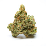 Skywalker OG – Indica | 31% THC

Unwind and explore the galaxy of relaxation with Skywalker OG, a potent indica that offers deep tranquility. With 26% THC, this strain delivers a powerful body high, melting away stress and tension while gently lulling you into blissful sedation. Its earthy pine aroma blends with hints of citrus and spice, creating a rich sensory experience perfect for evening use.

Whether you're easing into a restful night or seeking relief from aches, Skywalker OG is your co-pilot for pure relaxation.

Effects: Relaxing, Euphoric, Sedative
Flavors: Earthy, Pine, Citrus
Best For: Nighttime Use, Stress Relief, Deep Relaxation

Available now at The Purple Shop—your go-to destination for premium indica strains!