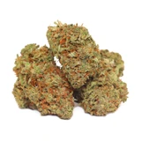 Discover Godfather OG (AAAA Indica-Dominant Hybrid), one of Canada’s most potent cannabis strains. With up to 32% THC, it delivers euphoric relaxation, deep body relief, and restful sleep. Perfect for stress, pain, and insomnia.