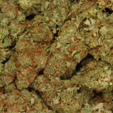 Discover Godfather OG (AAAA Indica-Dominant Hybrid), one of Canada’s most potent cannabis strains. With up to 32% THC, it delivers euphoric relaxation, deep body relief, and restful sleep. Perfect for stress, pain, and insomnia.