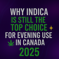 Indica Flower in Canada: Why It's Still the Top Choice for Evening Use in 2025