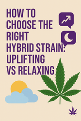 How to Choose the Right Hybrid Strain: Uplifting vs Relaxing How to Choose the Right Hybrid Strain: Uplifting vs Relaxing