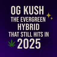 OG Kush: The Evergreen Hybrid That Still Hits in 2025