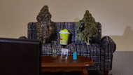 Best Strains for Watching Movies in 2026