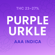 Purple Urkle AAA Indica | Berry Aroma, Smooth Relaxation | The Purple Shop