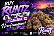 Buy Runtz Strain Online in Canada | Newfoundland Buyer’s Guide