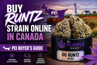 Buy Runtz Strain Online in Canada | PEI Buyer’s Guide