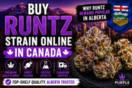Buy Runtz Strain Online in Canada | Why Runtz Remains Popular in Alberta