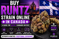 Buy Runtz Strain Online in Canada | A Guide for Quebec Cannabis Buyers